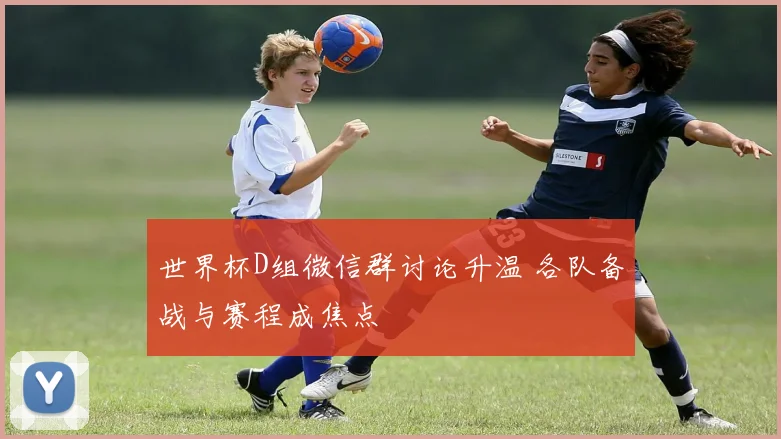世界杯D组微信群讨论升温 各队备战与赛程成焦点